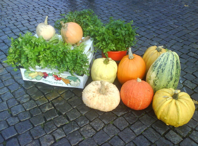 Обои картинки фото еда, тыква, тыквы, зелень