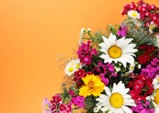 Картинка цветы разные вместе газания гвоздики