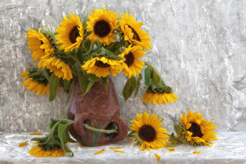 Картинка цветы подсолнухи солнышка