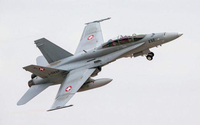 Обои картинки фото авиация, боевые, самолёты, hornet, mcdonnell, douglas, fa-18