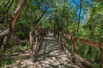 Картинка природа дороги мост