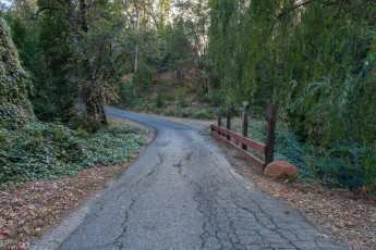 Картинка природа дороги тракт