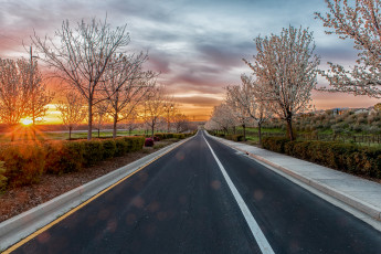 Картинка природа дороги тракт