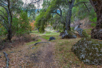 Картинка природа дороги тропинка