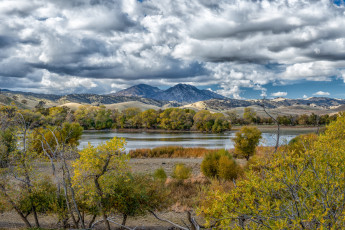 Картинка природа пейзажи лес река