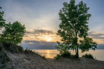 Картинка природа побережье рассвет