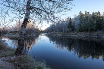 Картинка природа реки озера река лес