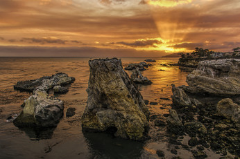 Картинка природа побережье рассвет