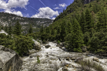 Картинка природа реки озера лес река