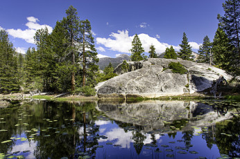 Картинка природа реки озера река лес