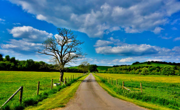 Картинка природа дороги тракт