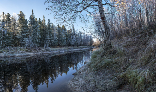 Обои картинки фото природа, реки, озера, лес, река