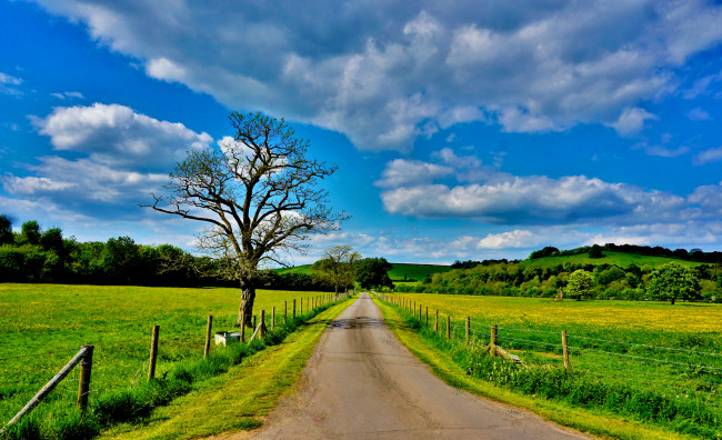 Обои картинки фото природа, дороги, тракт