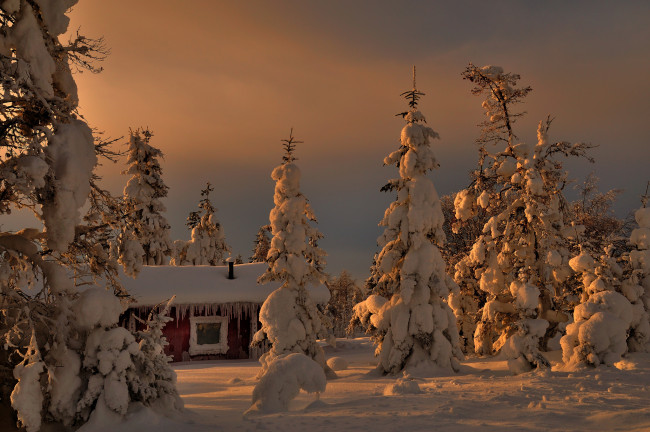 Обои картинки фото природа, зима, снег