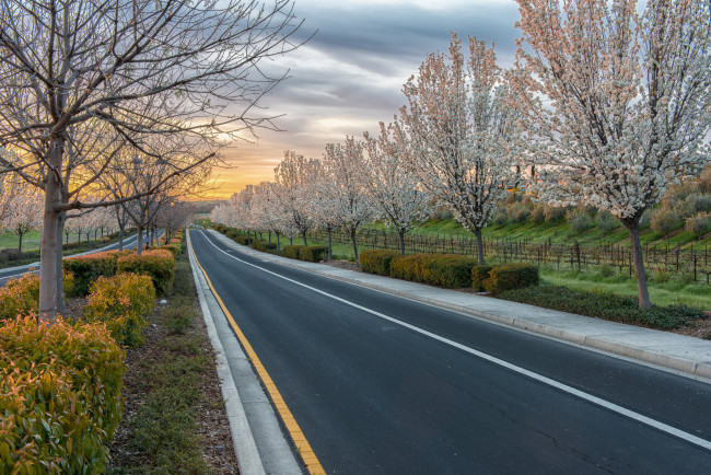 Обои картинки фото природа, дороги, тракт