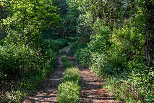 Обои картинки фото природа, дороги, тракт