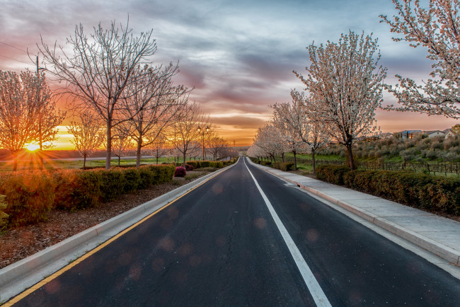Обои картинки фото природа, дороги, тракт