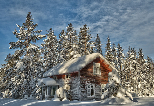 Обои картинки фото природа, зима, снег