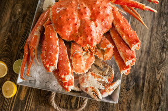 Картинка еда рыба +морепродукты +суши +роллы краб цитрус лимон морепродукт