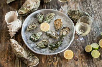 Картинка еда рыба +морепродукты +суши +роллы лайм лимон лед морепродукты мидии