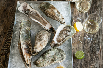 Картинка еда рыба +морепродукты +суши +роллы вино морепродукты мидии