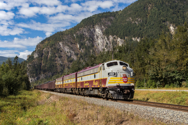 Обои картинки фото техника, поезда, локомотив, состав