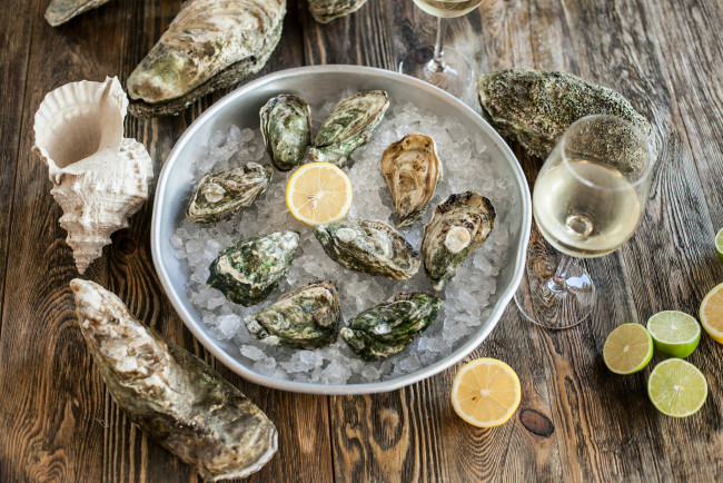 Обои картинки фото еда, рыба,  морепродукты,  суши,  роллы, лайм, лимон, лед, морепродукты, мидии