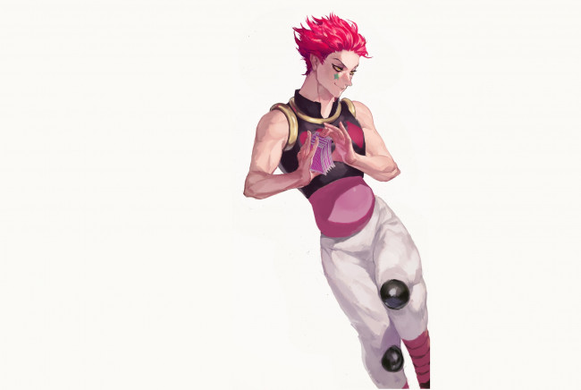 Обои картинки фото аниме, hunter x hunter, хисока