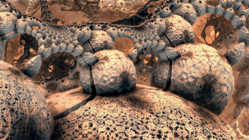 обоя 3д графика, абстракция , abstract, цвет, фон, узор