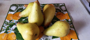 Картинка еда груши желтые спелые