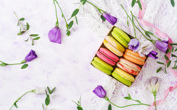 обоя еда, макаруны, лакомство, ассорти, эустома