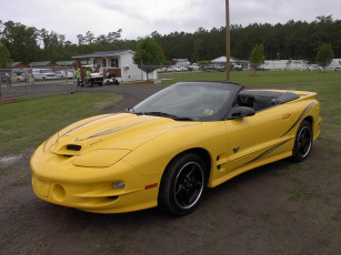Картинка 2003 pontiac trans am collector edition автомобили