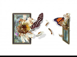 Картинка разное