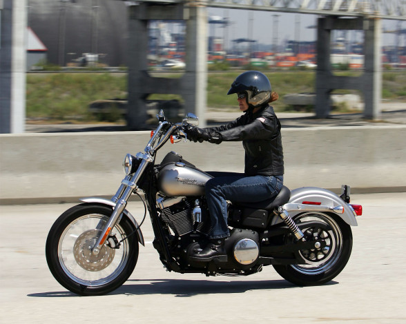 Обои картинки фото мотоциклы, harley, davidson