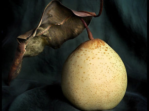 Картинка дама экстравагантной шляпе by nika еда груши