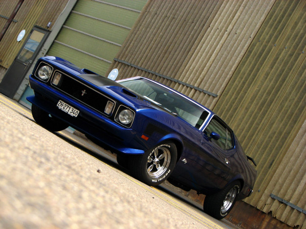 Обои картинки фото автомобили, ford