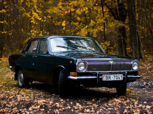 Картинка автомобили газ