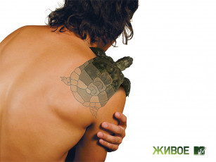 Картинка бренды mtv