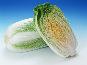 Картинка еда капуста её разновидности
