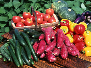 Картинка еда овощи