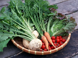 Картинка еда овощи