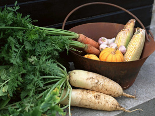 Картинка еда овощи