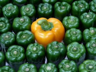 Картинка еда перец