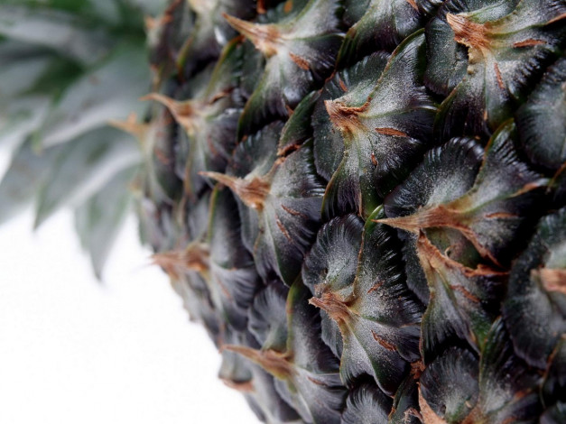 Обои картинки фото еда, ананас