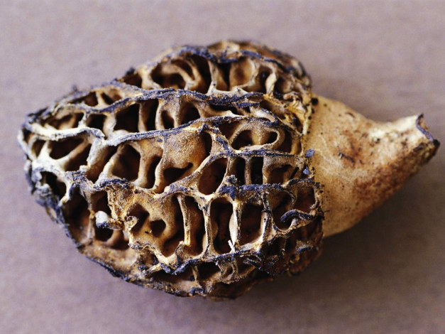 Обои картинки фото еда, овощи