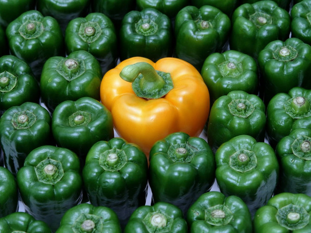 Обои картинки фото еда, перец