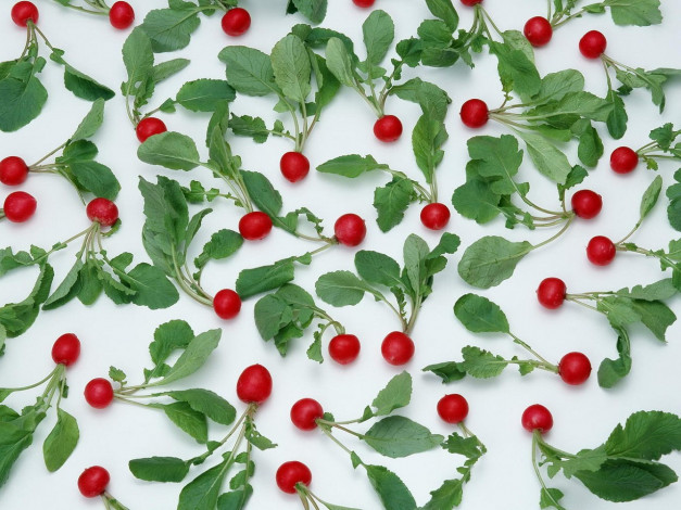 Обои картинки фото еда, редис, репа, редька