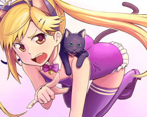 Картинка аниме nyankoi