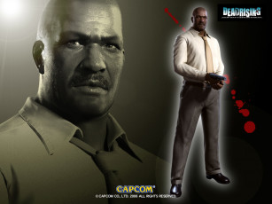 Картинка видео игры dead rising