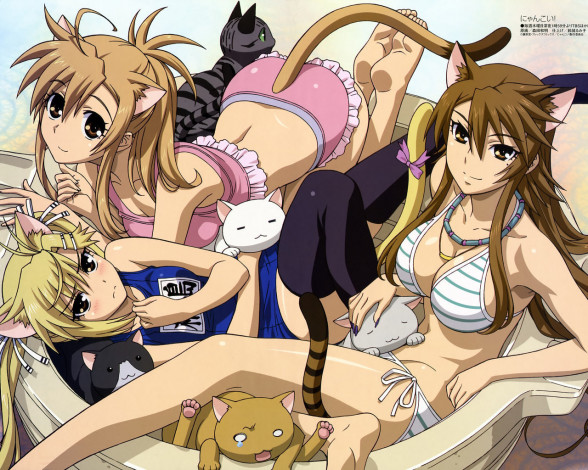 Обои картинки фото аниме, nyankoi